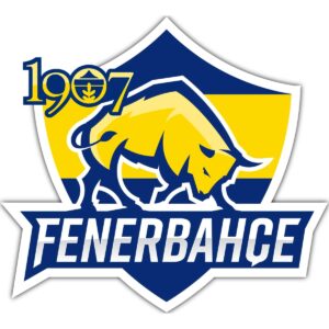 fenerbahçe espor