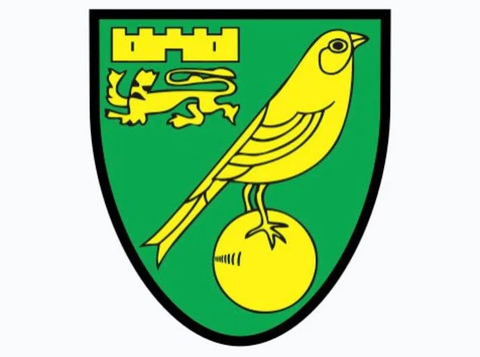 FIFA 22 Premier League Norwich