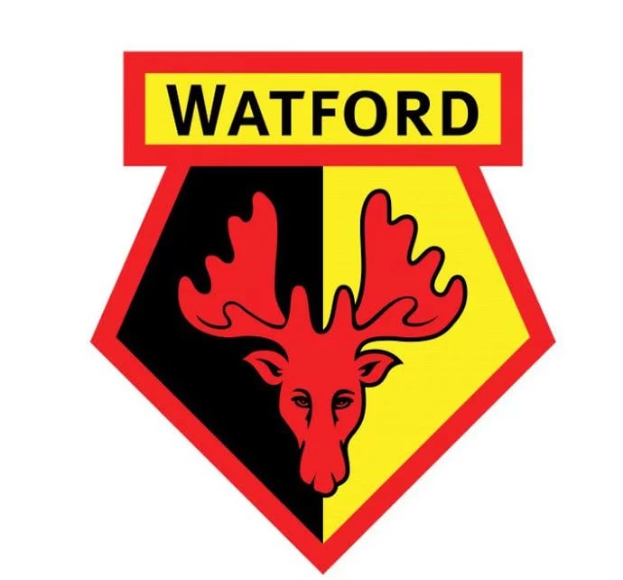 FIFA 22 Premier League Watford